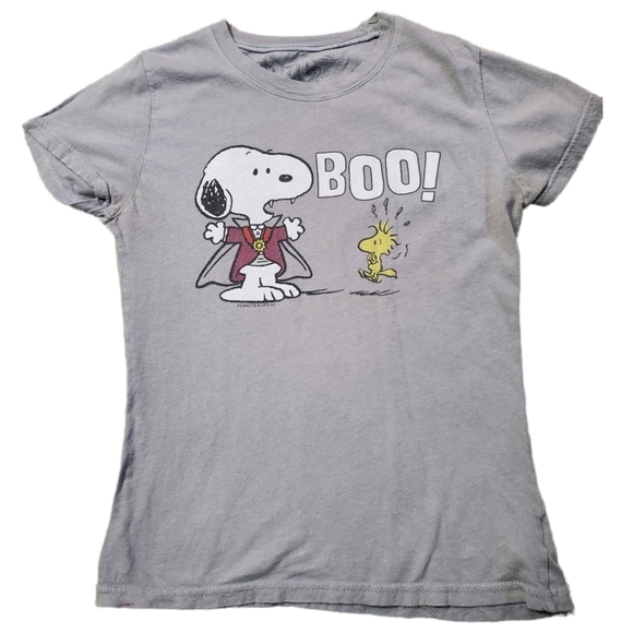 BOO! Snoopy and Woodstock Size Medium Grey Short Sleeve Halloween  Graphic Tee - Picture 1 of 10